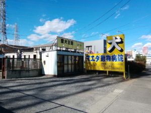 愛犬王国みつい オヤマシティ 栃木県小山市ポータルサイト 愛犬王国みつい オヤマシティ 栃木県小山市ポータルサイト