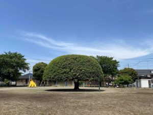 かましん・間々田店