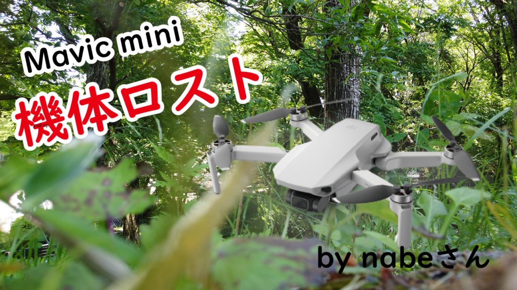 Mavic mini 機体ロストの瞬間